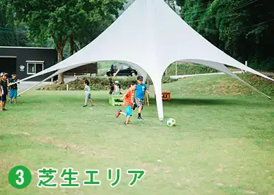 芝生エリア