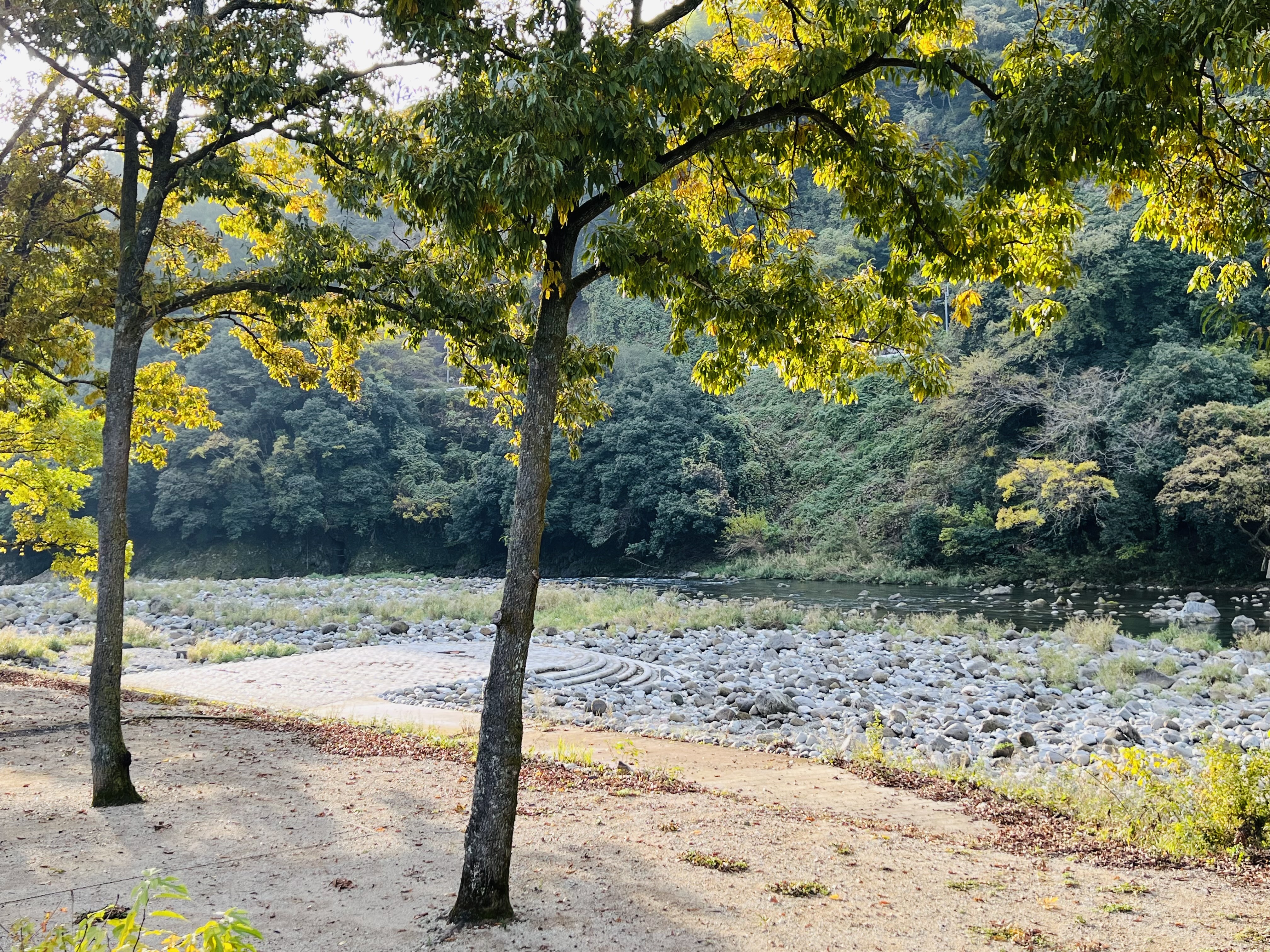 冬季限定デイキャンププラン登場！！
